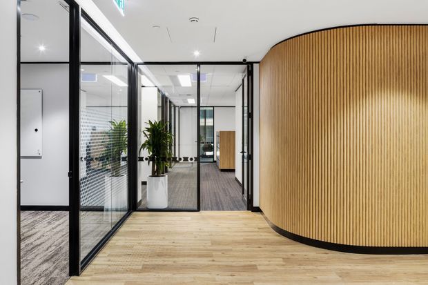 A bright contemporary commercial office interior with an open circulation area, light timber flooring, black-framed glass-partitioned offices, grey carpeted workspaces, and a prominent curved wall clad in vertical timber battens. Potted plants and clean white ceilings add a polished, professional feel.