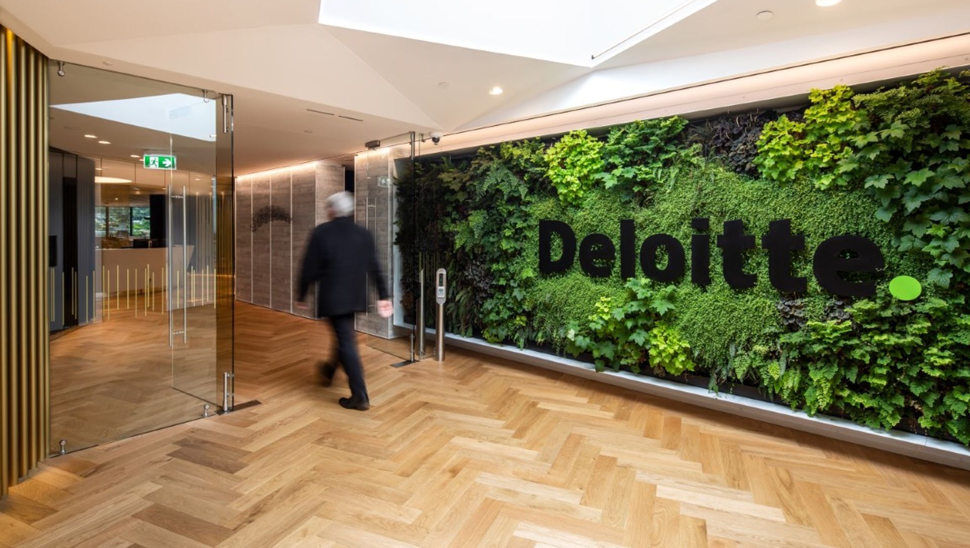 Deloitte Dunedin banner