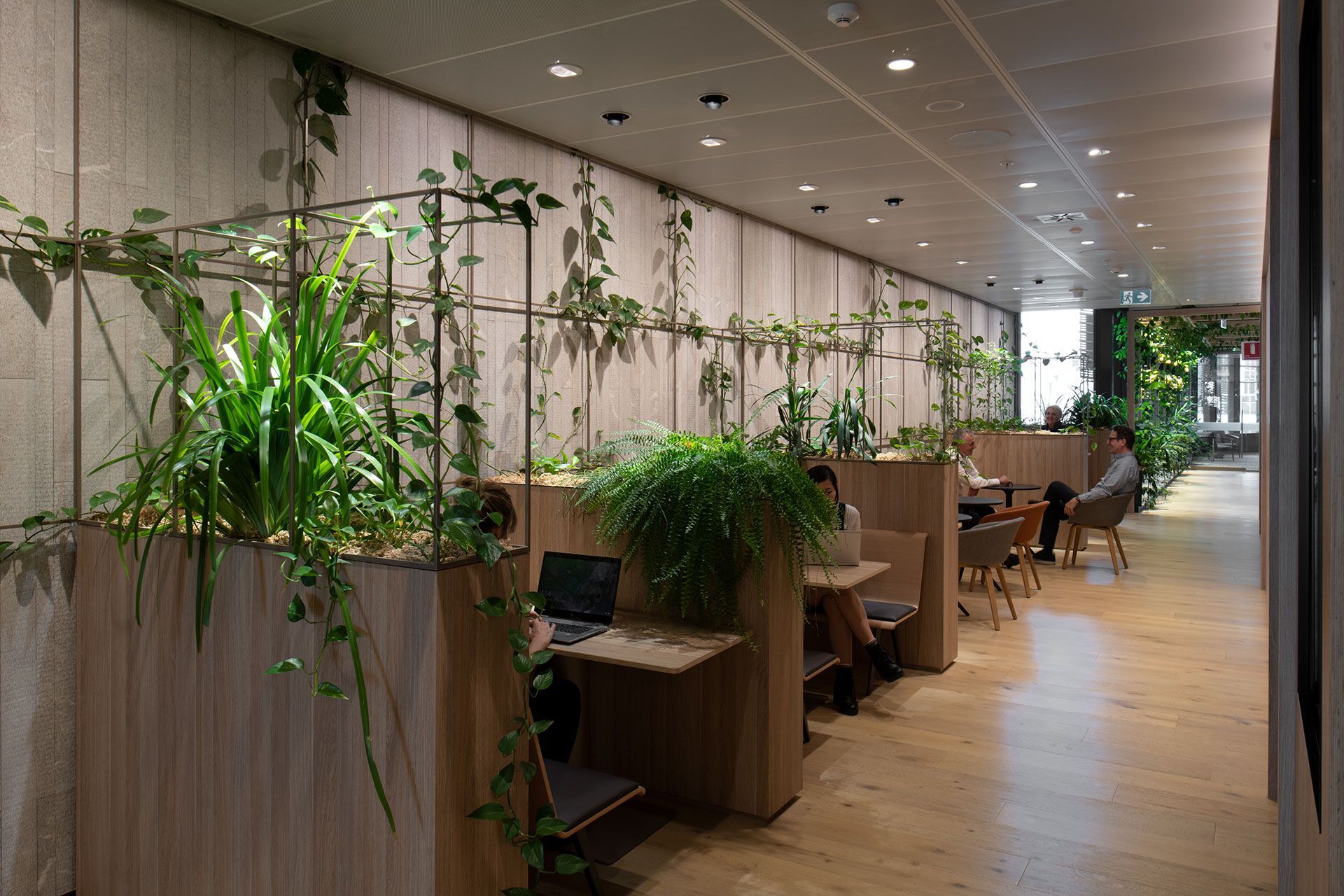 Carpe Diem at International Towers, Sydney