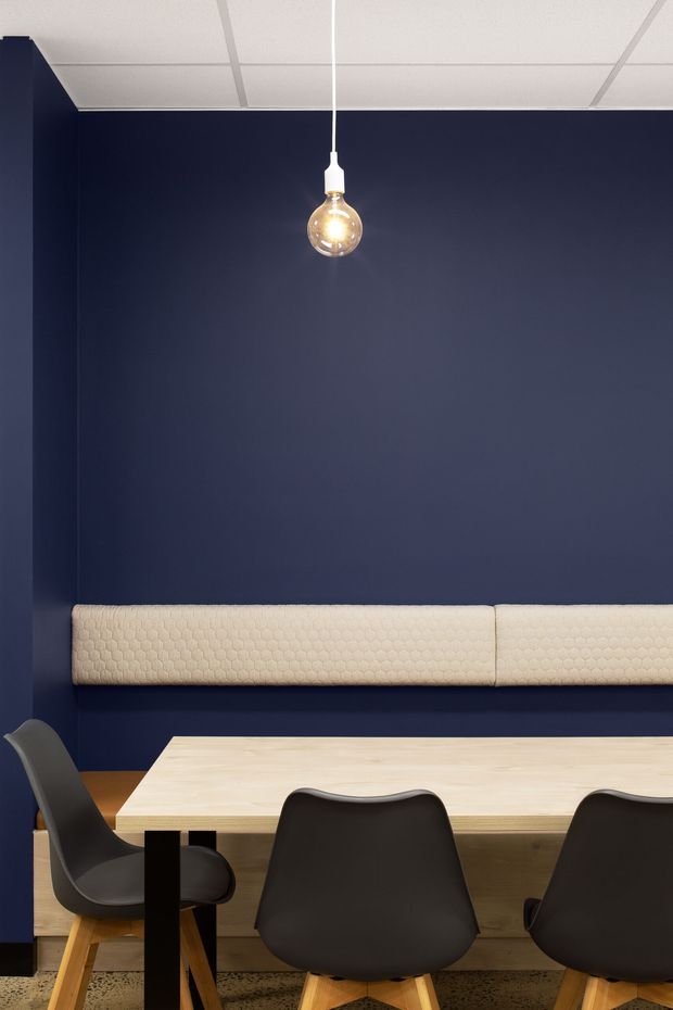 A dark navy dining area with a long light timber table, black molded dining chairs, and a built-in cream upholstered bench running along the wall. A single exposed globe pendant hangs beneath a white acoustic tile ceiling, creating a bold, refined contrast between the deep blue walls and light furnishings.