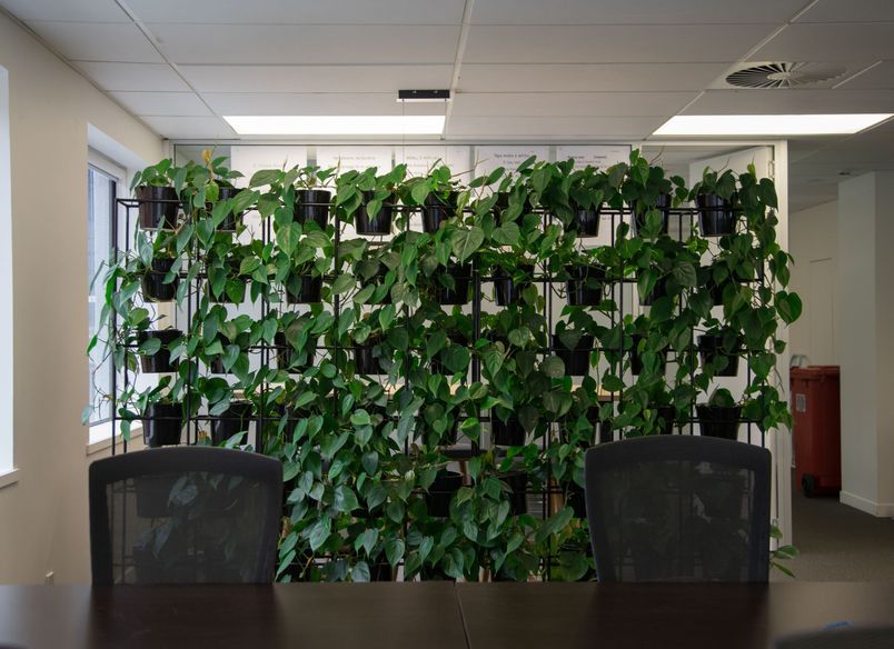 Delta Insurance -Long term hire project