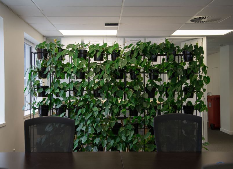 Delta Insurance -Long term hire project