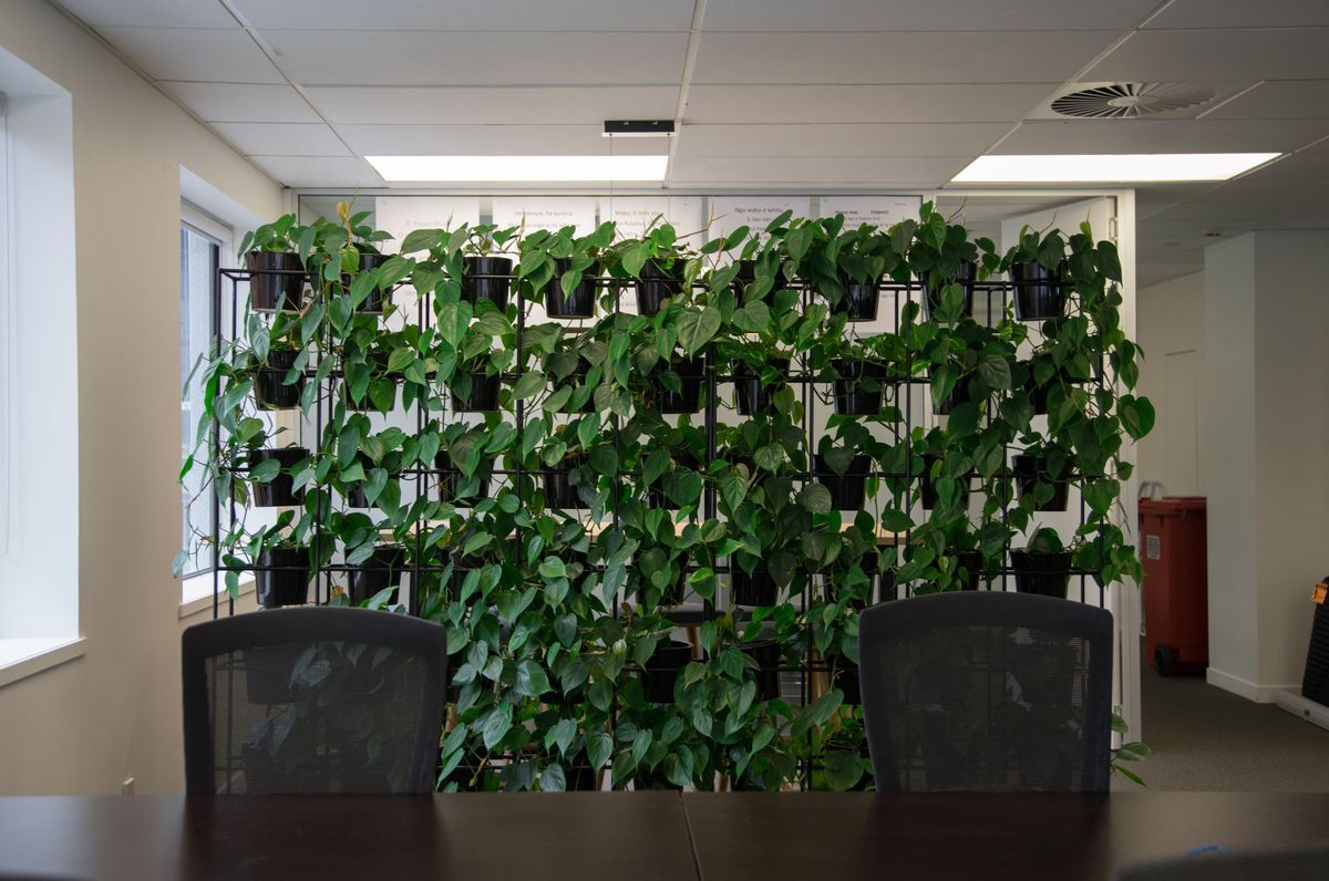 Delta Insurance office | Long term hire project