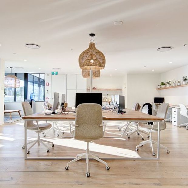 Bright, open-plan contemporary office interior with a large shared timber workstation, multiple white wheeled office chairs, computer monitors, pale timber flooring, white walls and cabinetry, and a woven pendant light. Large windows and indoor plants contribute to an airy, welcoming workspace.