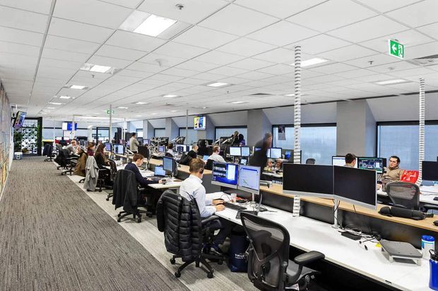 Open-plan commercial office with long shared workstations, multiple computer monitors, ergonomic office chairs, carpeted flooring, grey partition walls, large windows with blinds, and a suspended acoustic tile ceiling with recessed fluorescent lighting. The space appears bright, functional, and densely occupied.