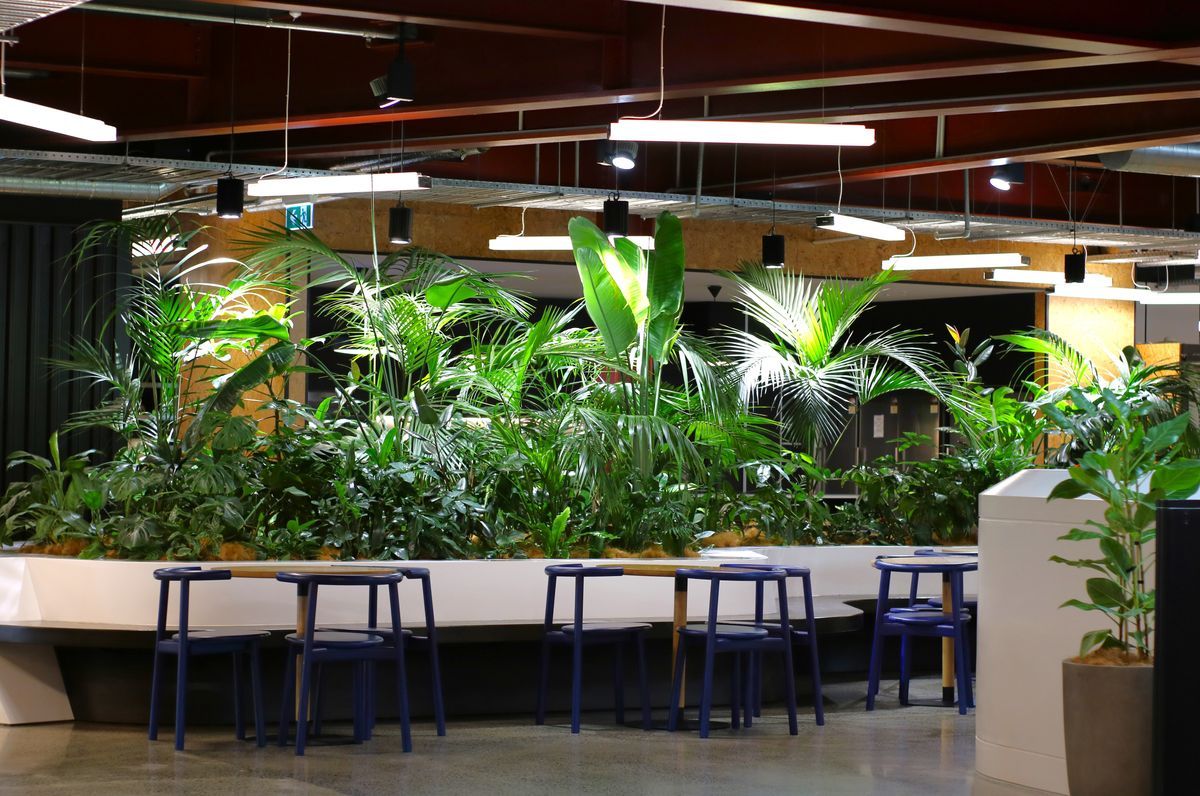 B:HIVE HQ | Long term hire project
