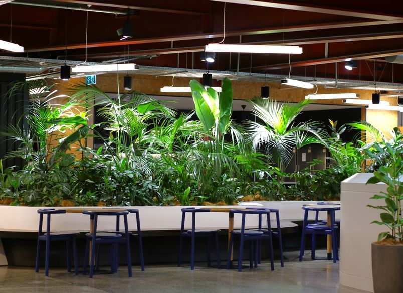 The B:HIVE - Long term hire project