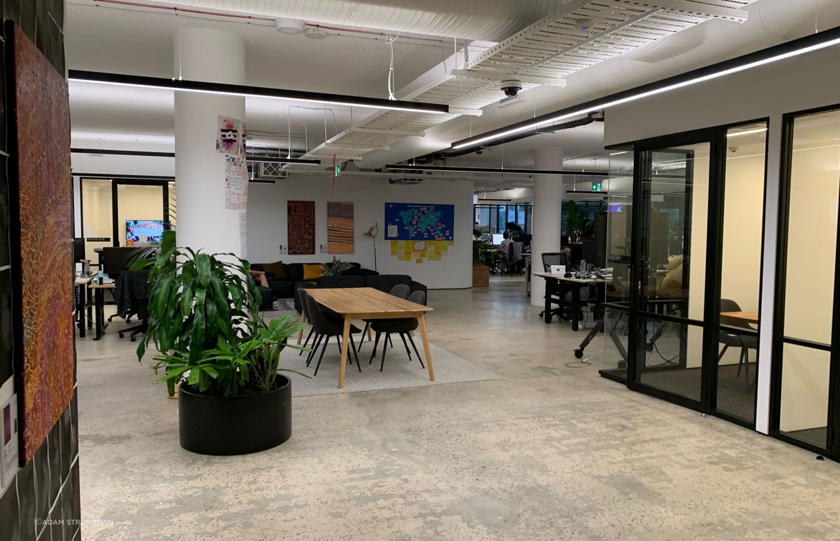 The Canva Offices in Surry Hills