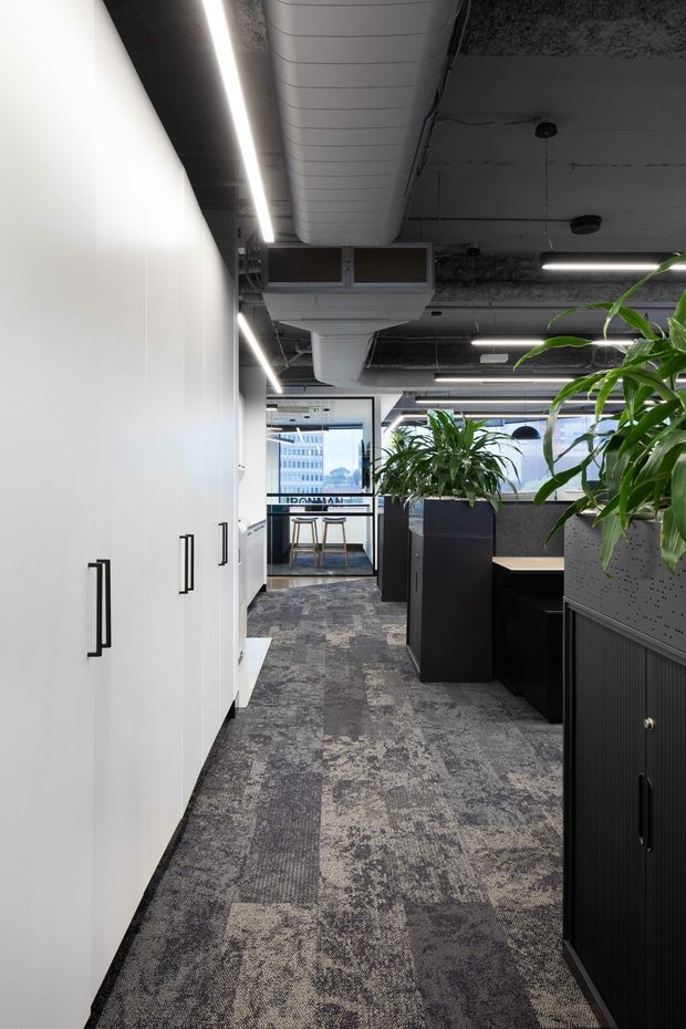 A contemporary commercial office interior with an open-plan workspace, white built-in storage cabinetry, dark workstations and planters, patterned carpet flooring, exposed services and ductwork, linear LED lighting, and glazed meeting or breakout areas overlooking an urban setting.