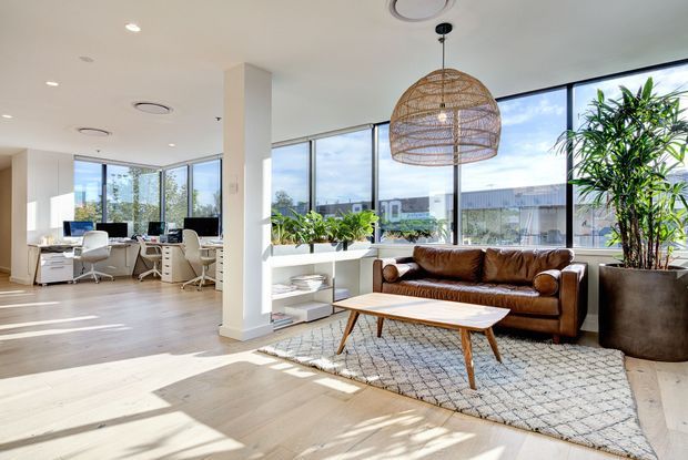 Bright contemporary open-plan office interior with a lounge seating area in the foreground and workstations arranged beside extensive floor-to-ceiling glazing. The space features pale timber flooring, white walls and columns, a brown leather sofa, mid-century-style timber coffee table, patterned rug, large indoor plants, and a prominent woven pendant light.