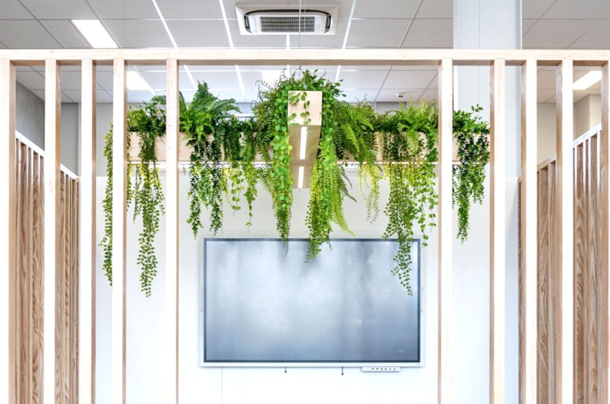 Scipad Tauranga Office Fitout