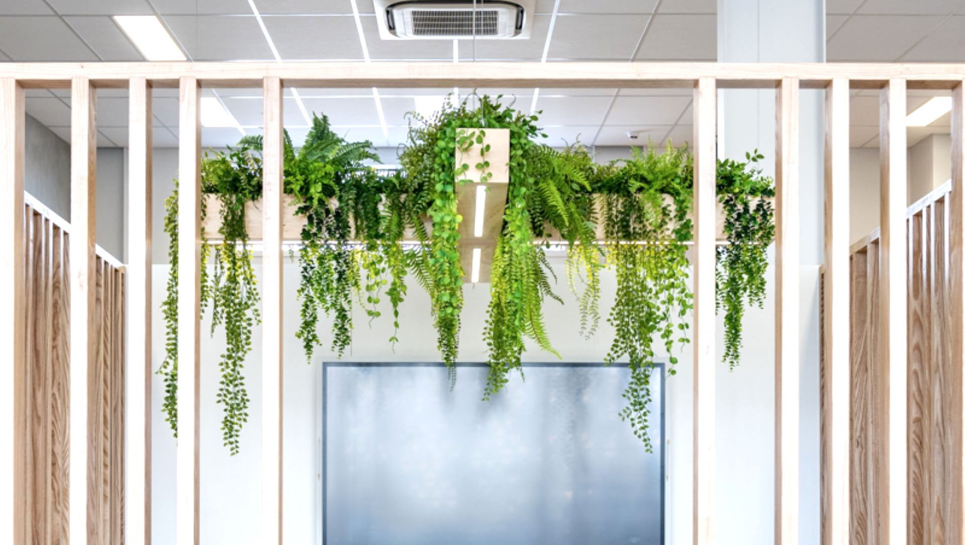 Scipad Tauranga Office Fitout banner