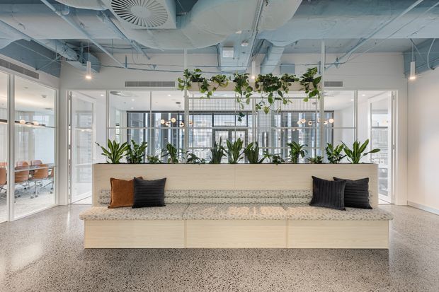 Bright contemporary commercial interior featuring a large built-in stone-clad planter bench with integrated pale timber cabinetry, abundant indoor planting, glazed meeting rooms, exposed services, and a polished terrazzo floor. The space has an airy office-lobby or collaborative breakout character with neutral finishes and black accent cushions.