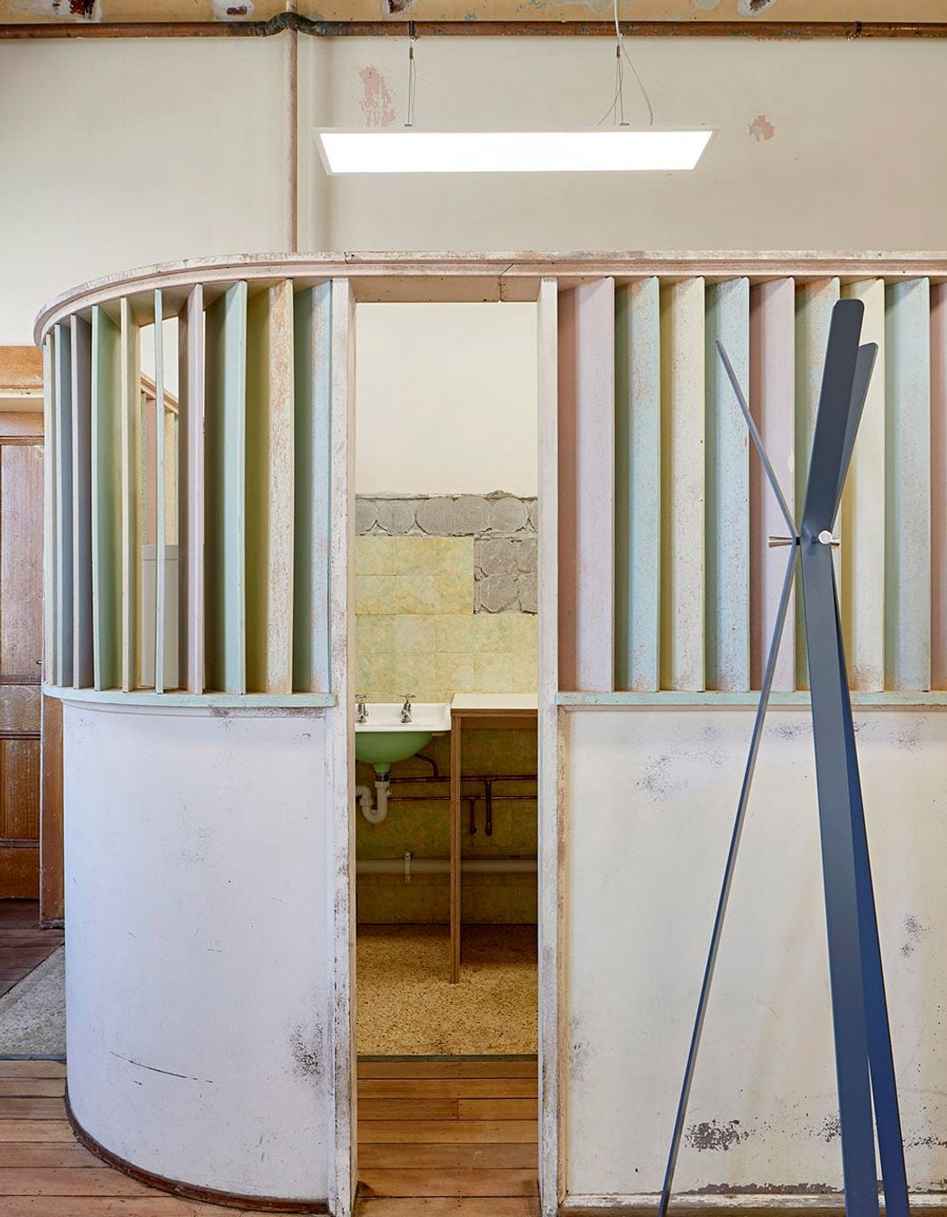 Photographer : Shannon McGrath