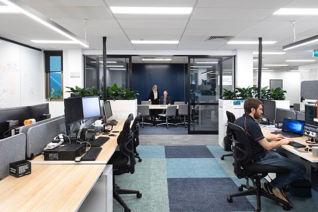Contemporary open-plan commercial office with rows of computer workstations, acoustic desk partitions, indoor planters, glass meeting-room walls, and a central meeting area. The space has a suspended grid ceiling with recessed linear lighting, carpet tile flooring in muted blue and grey tones, and light timber worktops. The image is bright, functional, and professionally fitted out.