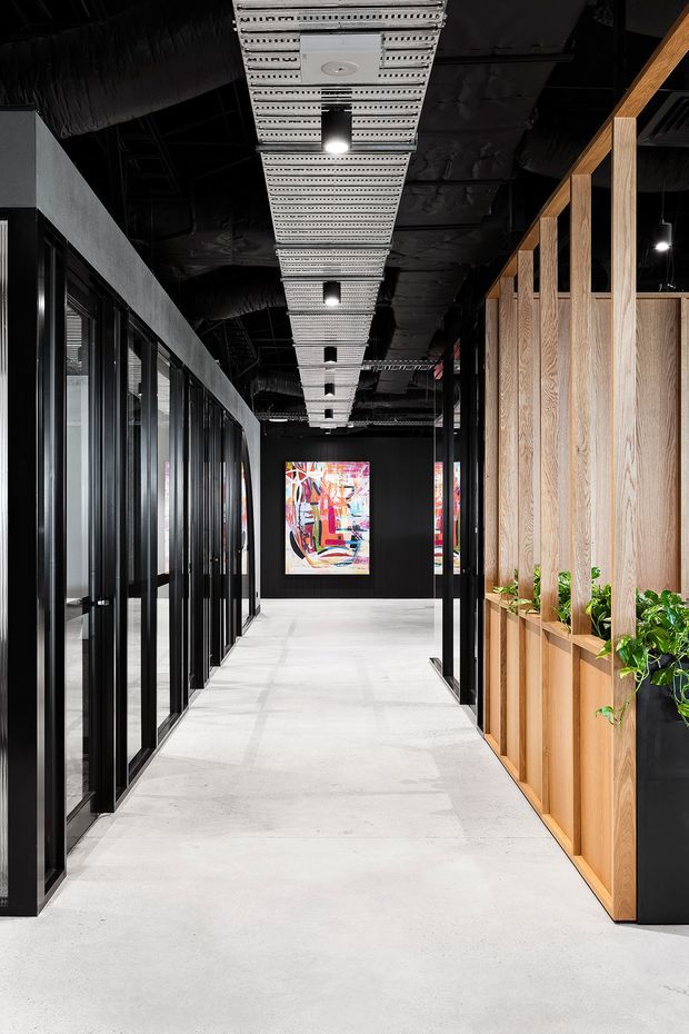 A contemporary commercial interior hallway with polished light concrete flooring, black-framed glazed office partitions on the left, and a warm timber planter and screening wall on the right. The exposed dark ceiling contains visible ductwork and a long linear array of suspended perforated metal light fixtures. Colourful abstract artwork punctuates the dark end wall, while integrated greenery softens the corridor.