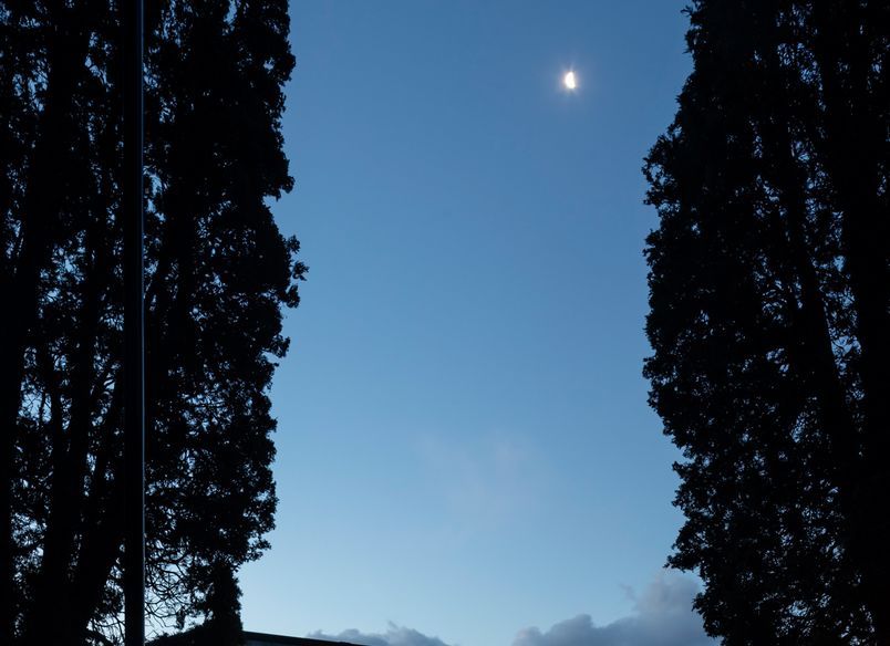 Te Whare Nui, Scion Innovation Hub