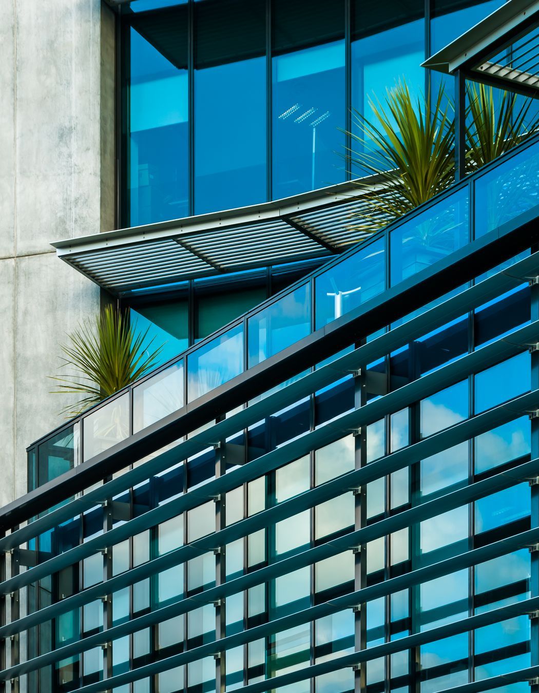 Show Place Christchurch