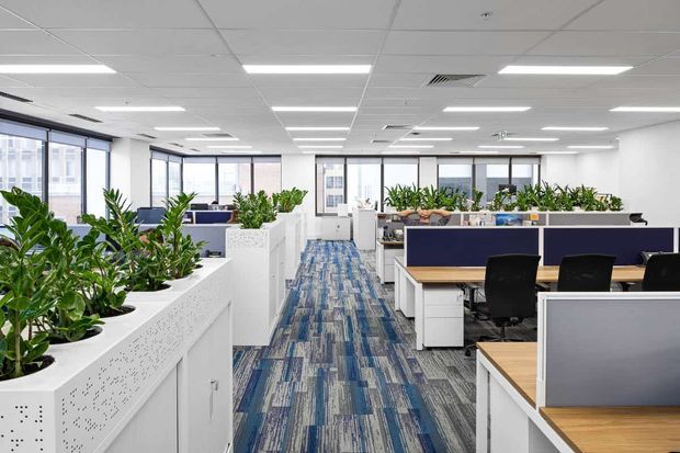 Bright open-plan commercial office with rows of workstations, white partitioned desks, blue patterned carpet, extensive indoor planting, large windows, and a suspended grid ceiling with recessed lighting. The space has a clean, contemporary corporate fit-out.