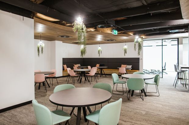 A contemporary commercial dining and breakout area with multiple round tables, pastel upholstered chairs, and a long built-in banquette against the rear wall. The space features a black exposed-services ceiling, warm timber ceiling panels, polished concrete flooring, white walls, hanging greenery, and large glazed doors or windows at the rear.