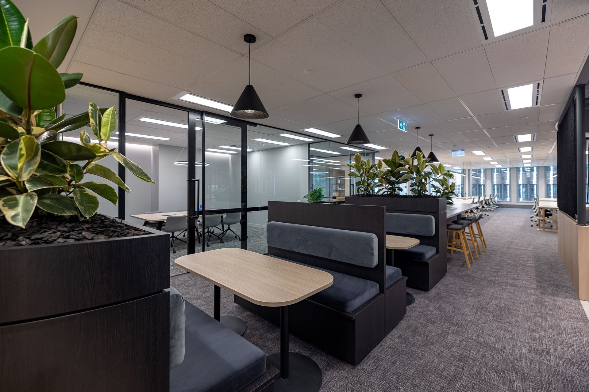 Suite 5.01 Angel Place