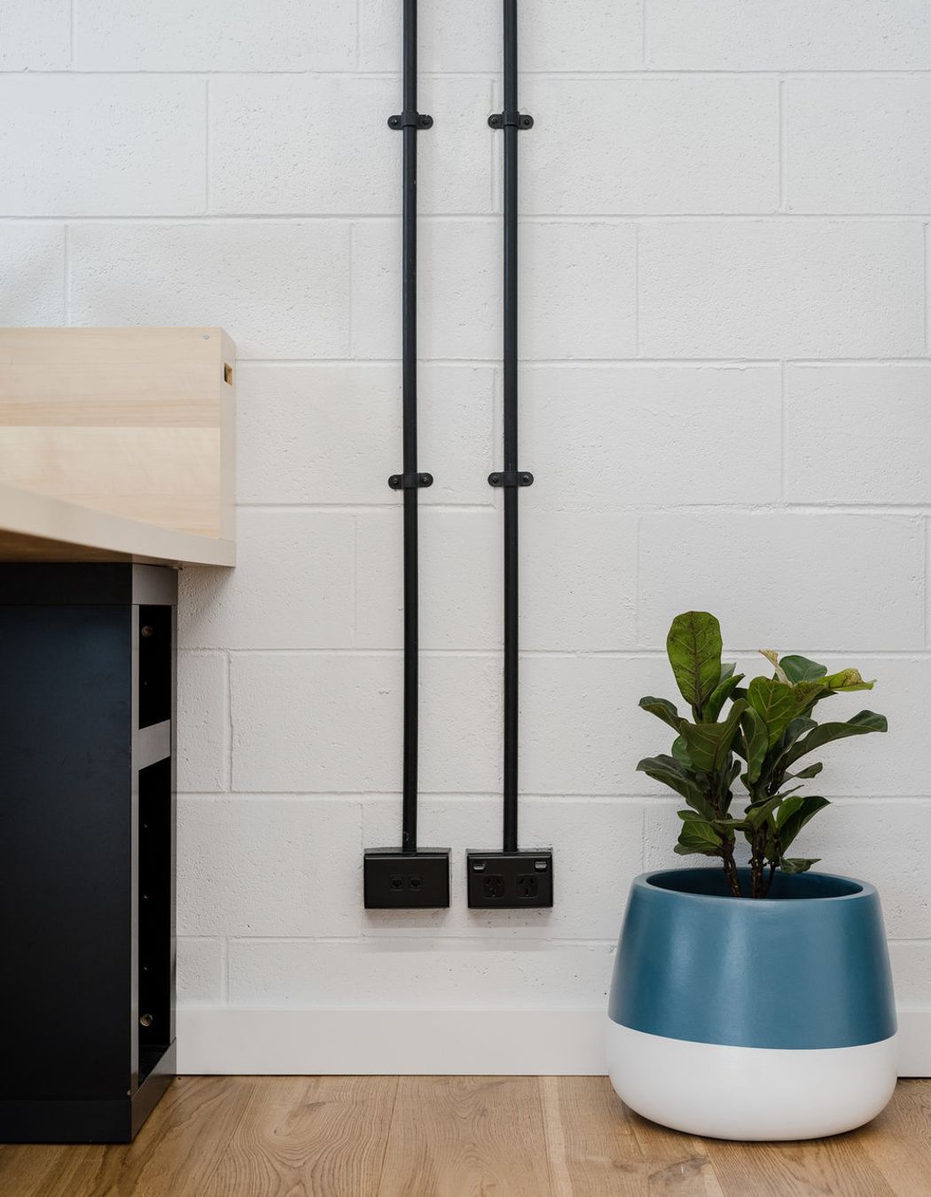 Photo Credit: Mitchell Fong