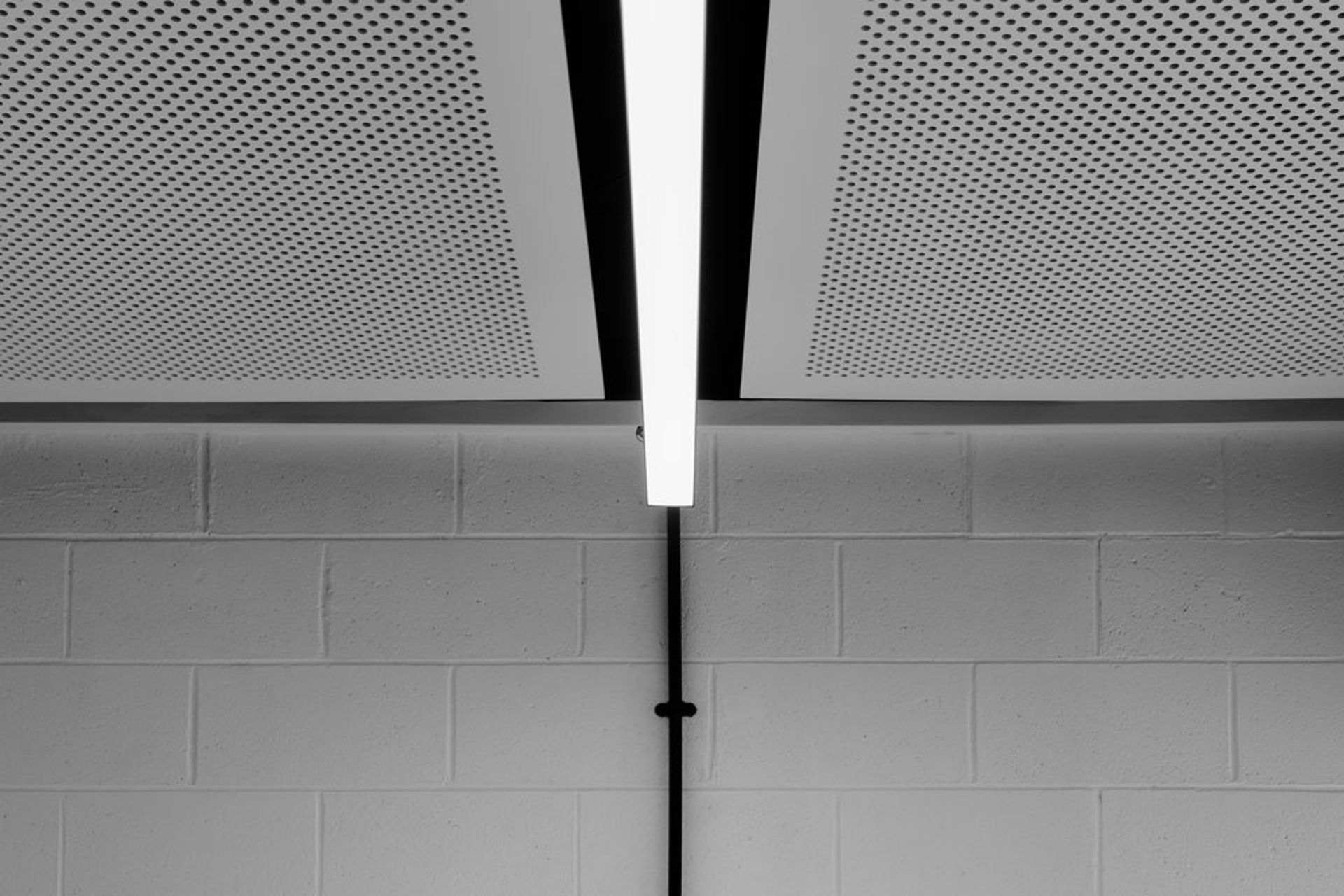 Photo Credit: Mitchell Fong