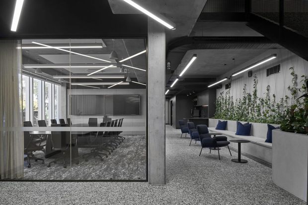 Contemporary commercial interior showing a glass-enclosed boardroom beside an open lounge and circulation area. The space features exposed concrete columns and ceilings, dark ceiling services, linear LED lighting, grey carpet, integrated white bench seating, blue lounge chairs, and a planted green wall.