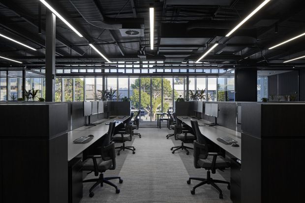 A contemporary open-plan commercial office with rows of individual workstations and ergonomic task chairs arranged along a central aisle. Dark timber-toned partition panels and grey workstation surfaces contrast with a grey carpet, while extensive glazing brings in daylight and views of greenery. The exposed dark ceiling contains visible services, ducts, and linear LED lighting, creating an industrial office aesthetic.
