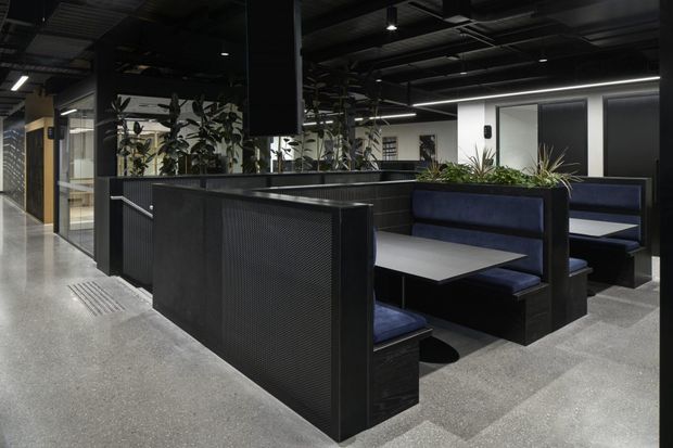 A dark, contemporary commercial interior featuring booth-style seating, black privacy screens, blue upholstered bench cushions, grey tables, indoor planting, polished concrete flooring, exposed services, and linear LED lighting. The space appears to be an office breakout or staff dining area adjacent to glazed meeting rooms.