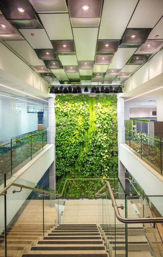 A bright contemporary commercial interior atrium viewed from a stairway, featuring a broad central staircase with glass balustrades and stainless-steel handrails. A dramatic multi-storey living green wall dominates the far end, while open-plan office areas with glazed partitions are visible on both sides. The ceiling has a patterned grid of recessed lights and perforated metal acoustic panels, with additional linear lighting and a suspended lighting rig above the atrium.