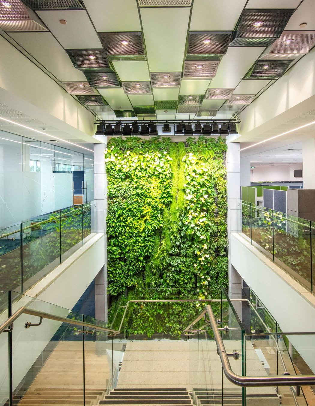 Thomas Foods International Fit out