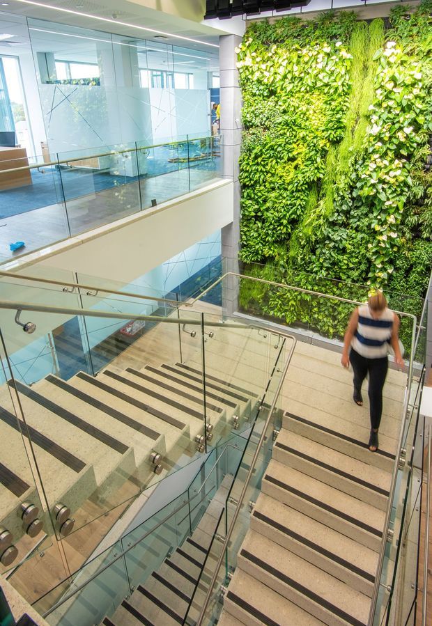 A bright multi-level commercial interior focused on a broad stairway and landing system with pale stone or concrete stair treads, dark anti-slip strips, clear glass balustrades, and metal handrails. A large lush vertical living wall forms a prominent feature beside the stairs, while glazed partitions and open voids reveal additional floors and circulation areas. The space has a clean, contemporary corporate or institutional character with abundant daylight.