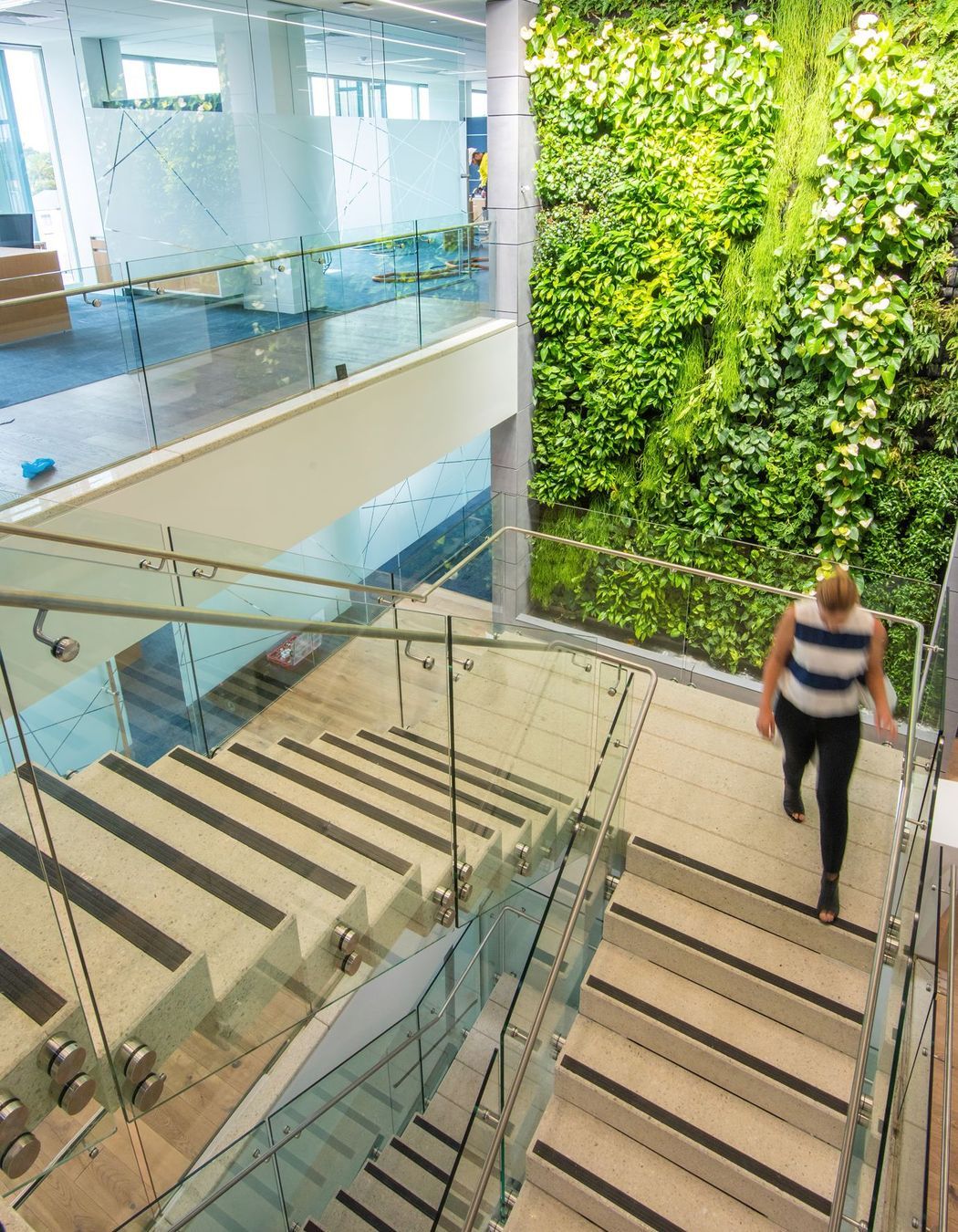 Thomas Foods International Fit out