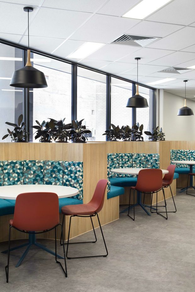 Bright contemporary commercial interior, likely a café, breakout area, or workplace lounge. The space features booth seating upholstered in a bold geometric teal, white, and dark patterned fabric, paired with rust-red chairs and white round tables. A timber-look partition with integrated planter boxes separates seating zones, while black-framed floor-to-ceiling glazing, black pendant lights, and a suspended acoustic tile ceiling complete the fit-out.