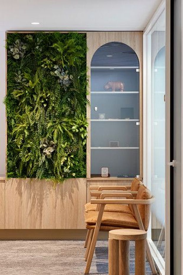 A refined interior passage or living area featuring a full-height green living wall set into warm timber wall panelling, beside an arched glass-fronted display cabinet with built-in shelving. A row of light timber upholstered chairs and a small round stool lines the glazed window wall. The space has a white ceiling with recessed lighting, neutral carpet, and abundant natural light.