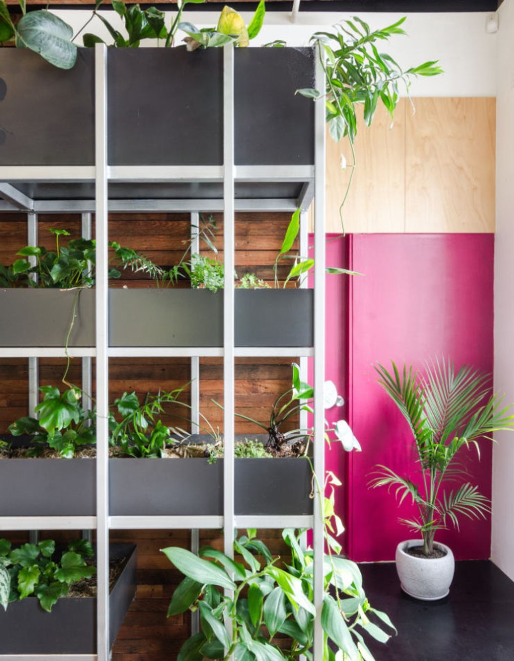 Photographer: Chad Dao