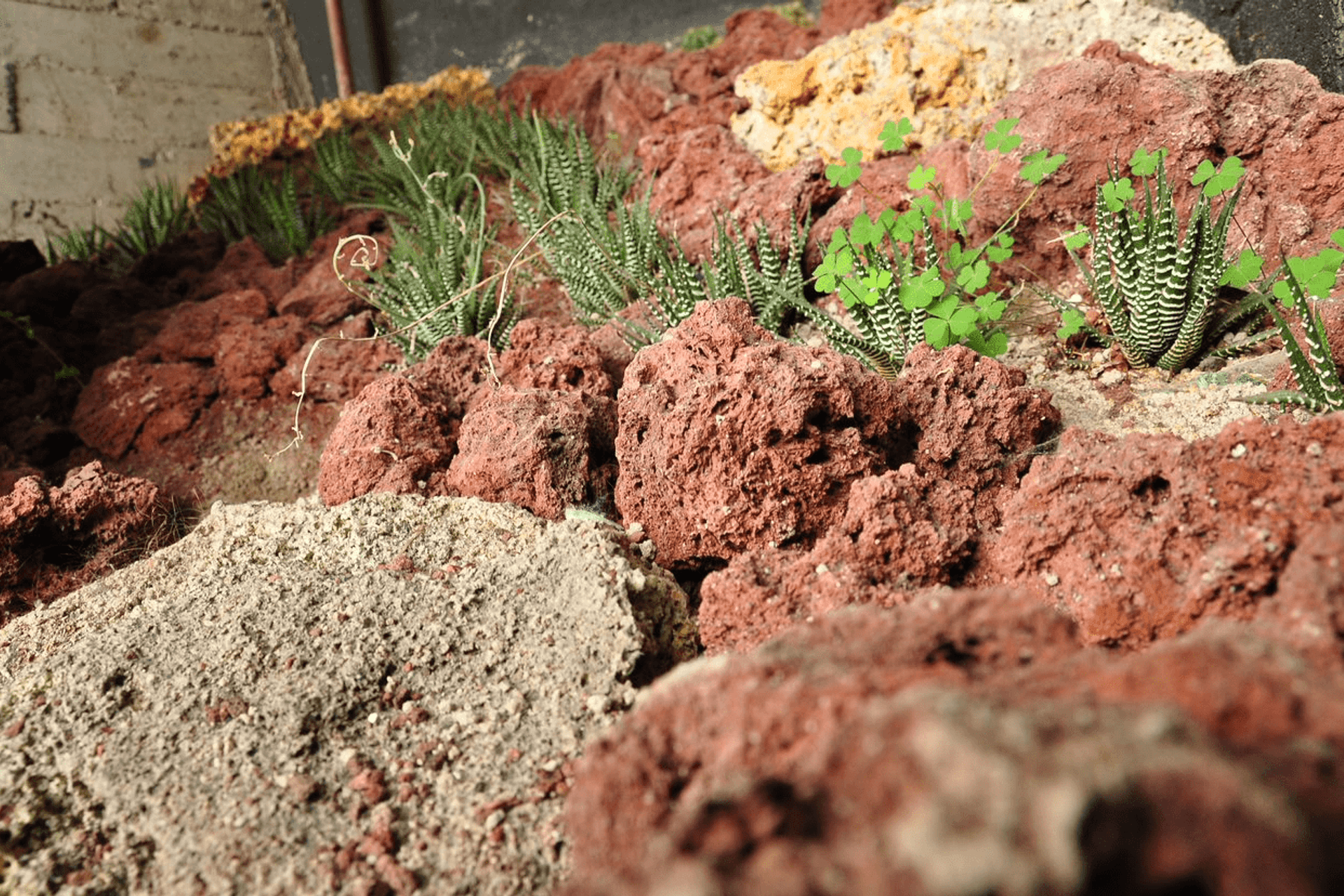 C4 Surveillance Rescue Centre