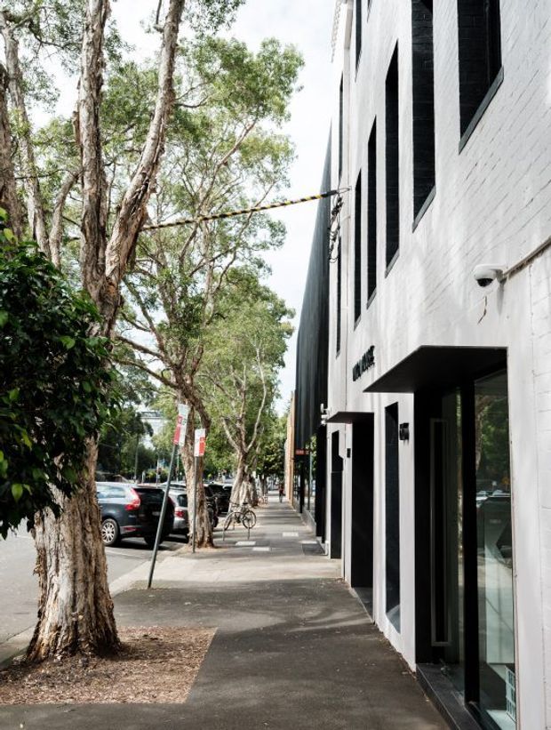 Street-level view of a contemporary urban commercial building with a white-painted brick facade, tall black-framed windows, black recessed entry canopies and doors, and visible security cameras. The building fronts a paved sidewalk lined with mature trees, street parking, bicycles, and urban streetscape elements.