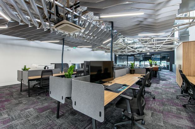 Open-plan contemporary office interior with long shared timber workstations, black office chairs, grey acoustic desk screens, computer monitors, indoor plants, and a patterned carpet. The space features exposed structural and mechanical services, a striking layered acoustic ceiling, extensive glazing, and a glass-partitioned meeting area in the background.