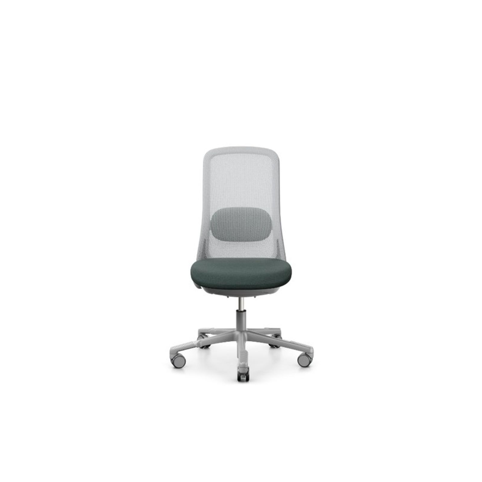 productimage-v85.jpg