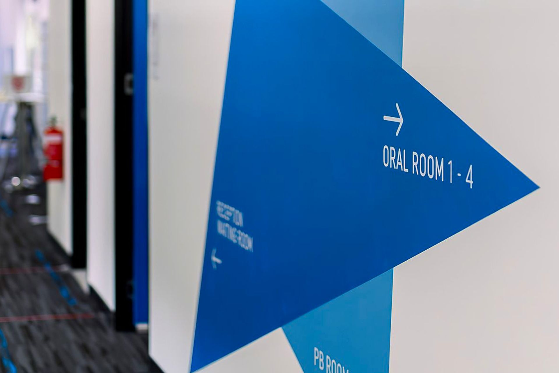 Taken by Connor Zhang (Instagram - V_connor)