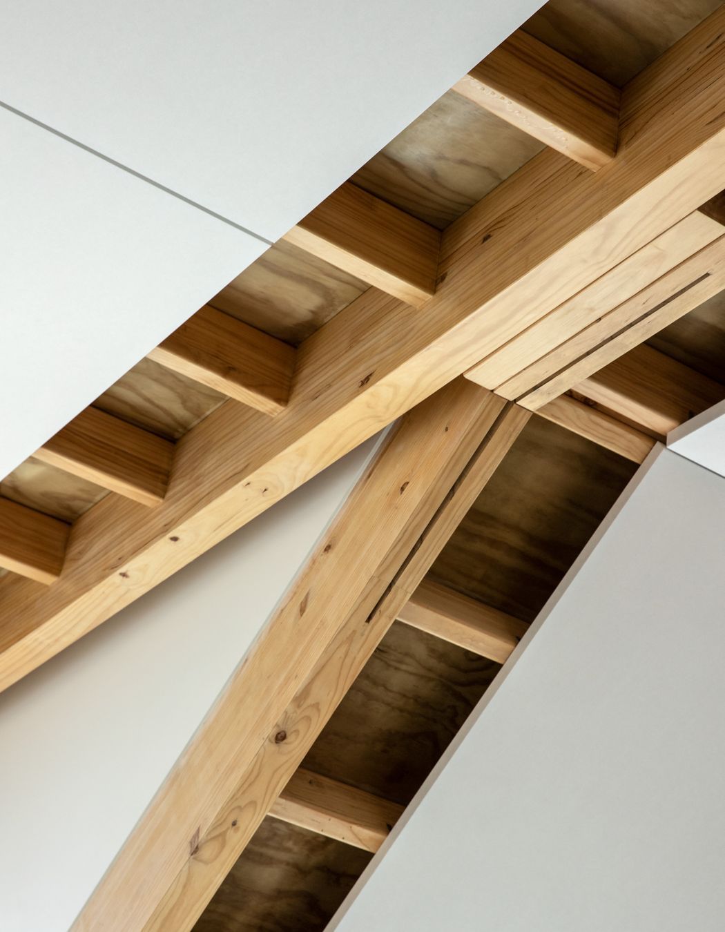 Auckland Zoo Administration Building