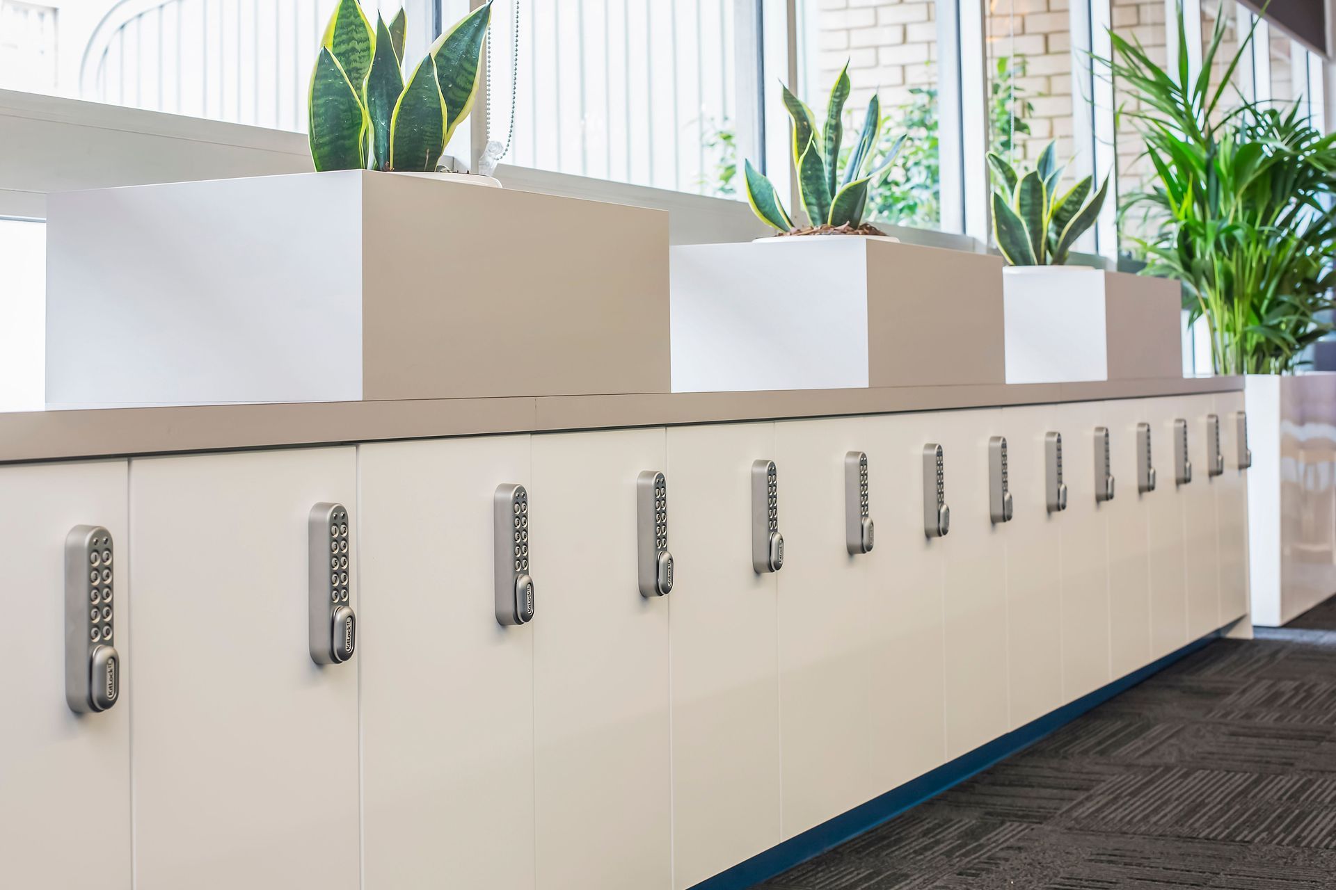 CEDP Ground Office Fit Out