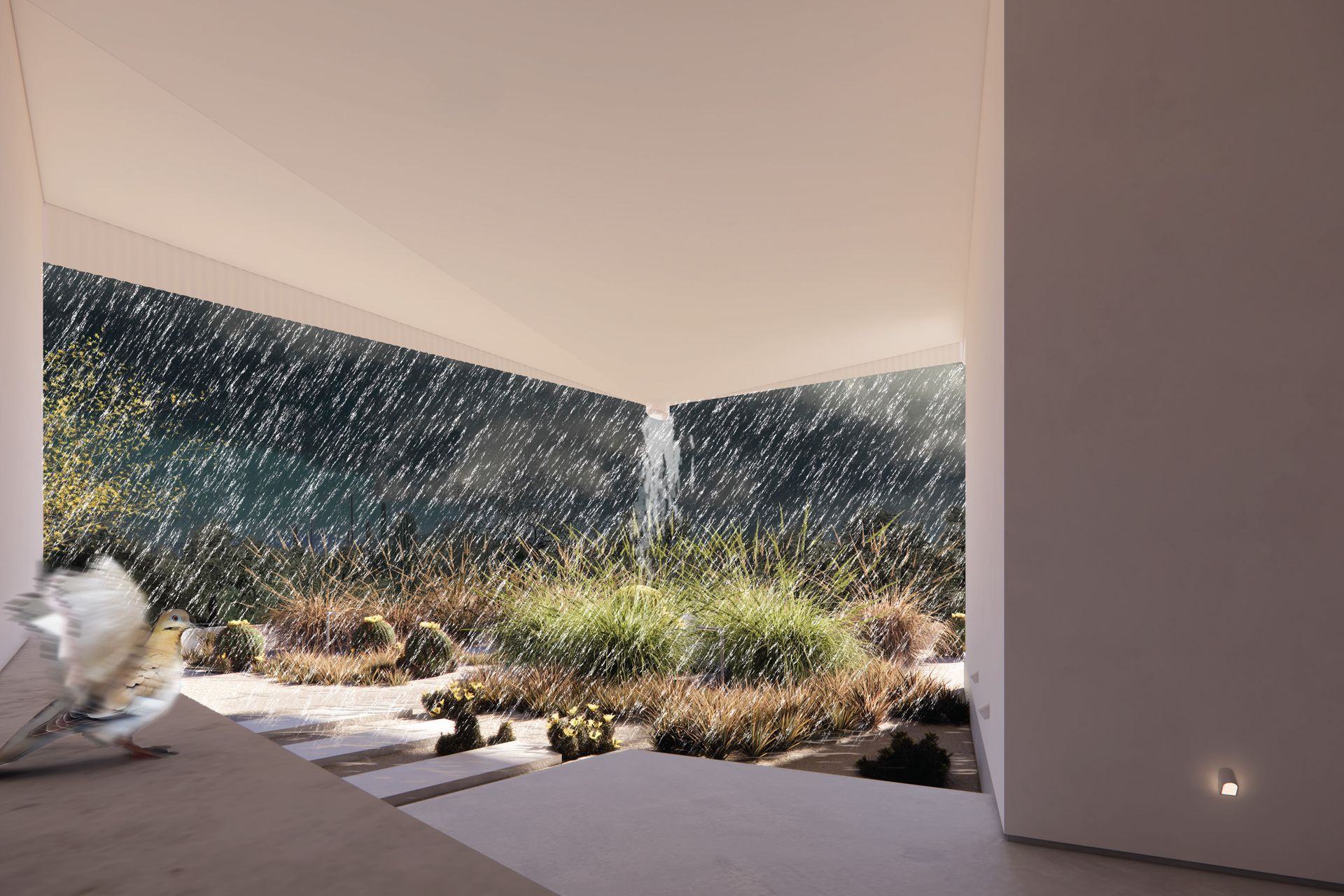 004-casa-ala-blanca-monsoon-microburst-v2.jpg