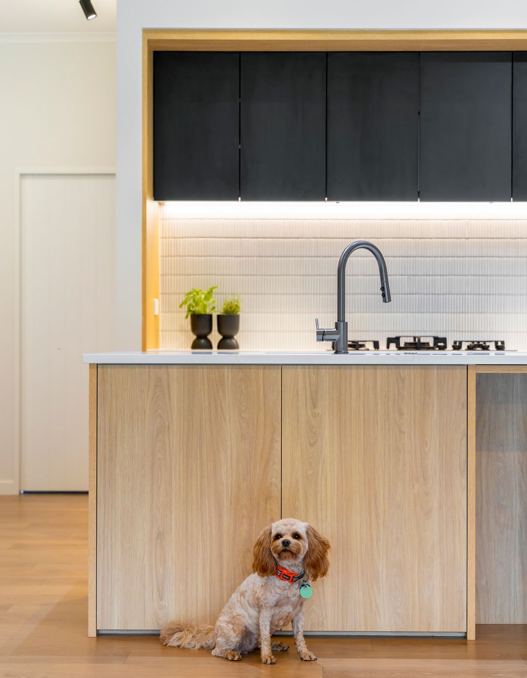 Oak + Black Melamine with Pocket Door
