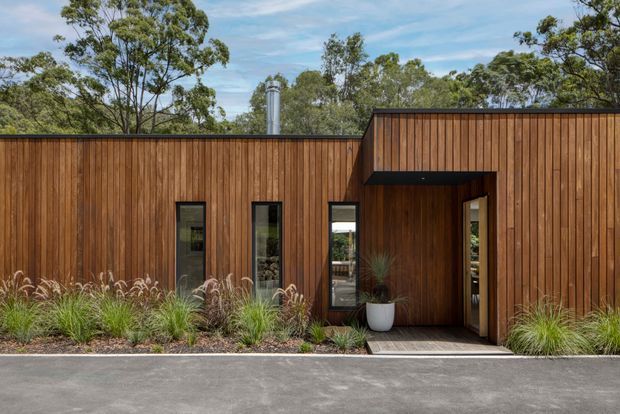 A low-profile contemporary building facade clad in warm vertical timber boards. Narrow windows and a recessed covered entry create a simple linear composition, with a dark roof edge and timber-lined entry reveal. Ornamental grasses and planting soften the frontage, with mature trees visible behind the building.