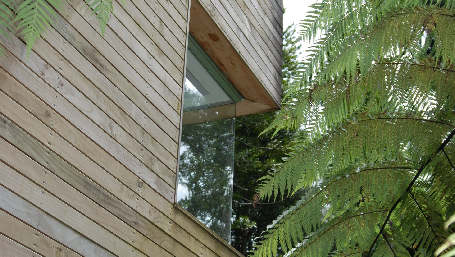 Little Huia House banner