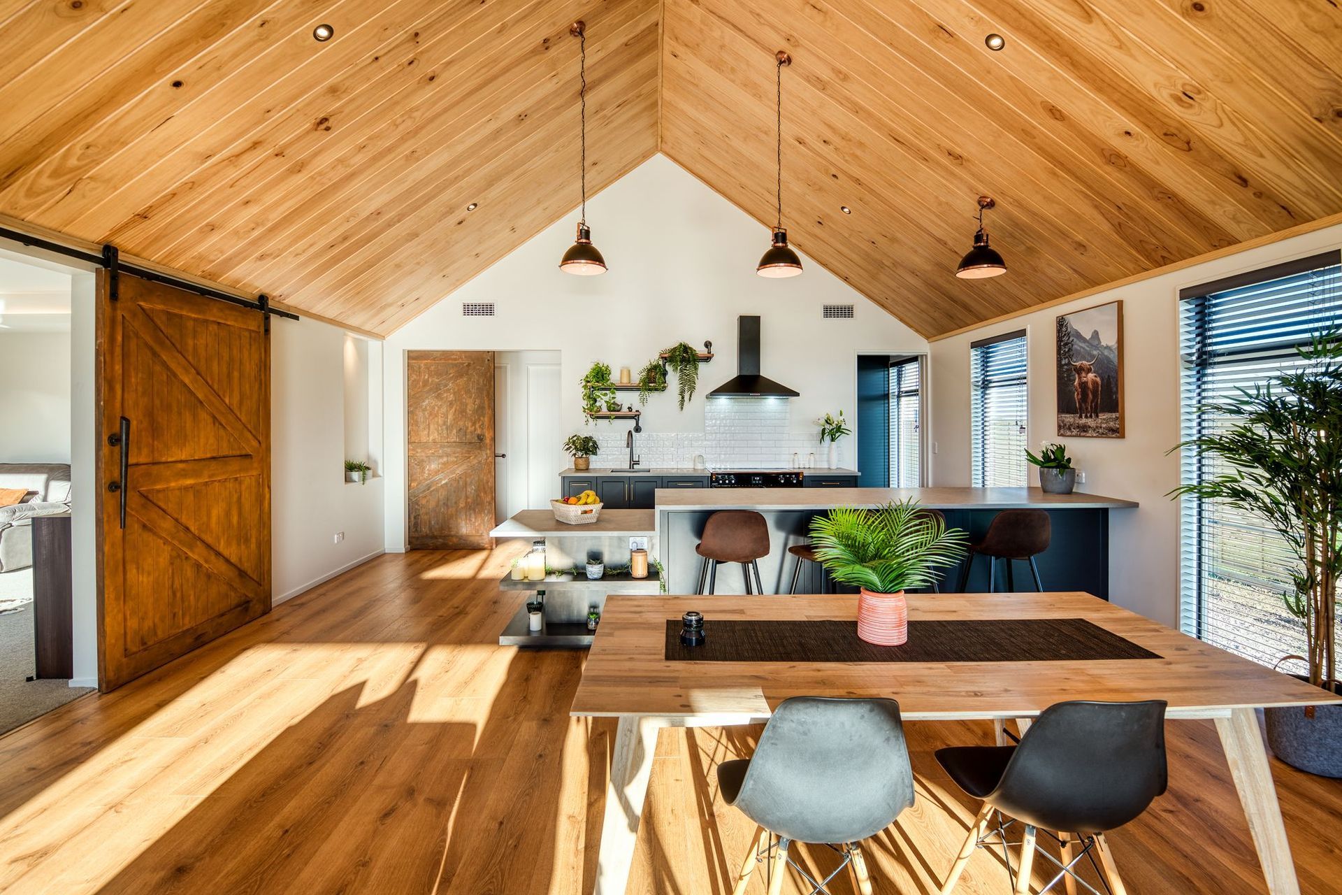 Pavilion Home, Cedar Cladding