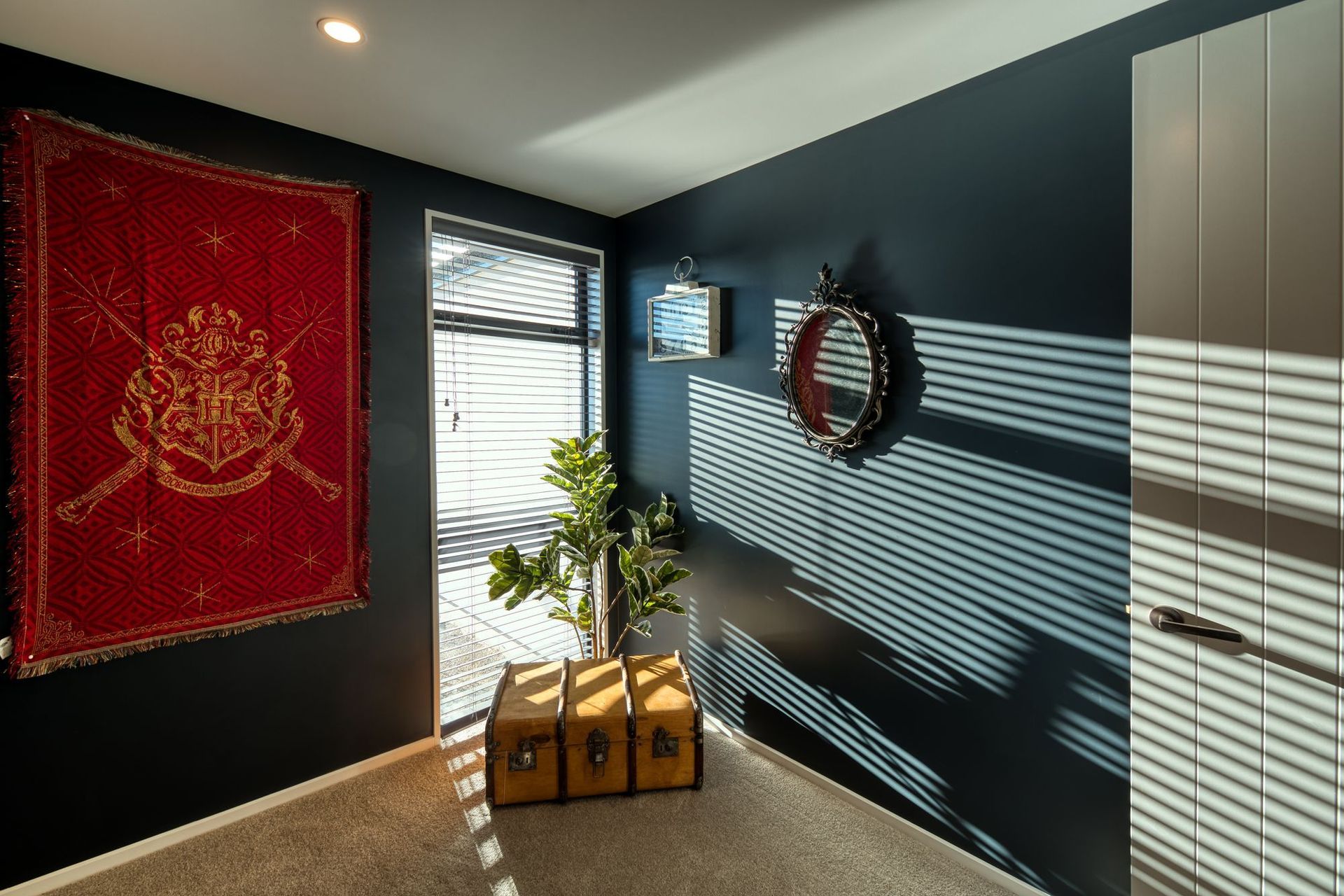 Pavilion Home, Cedar Cladding